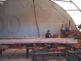 Serra de Fita p/ Troncos Wood Mizer LT40 20000 EUR